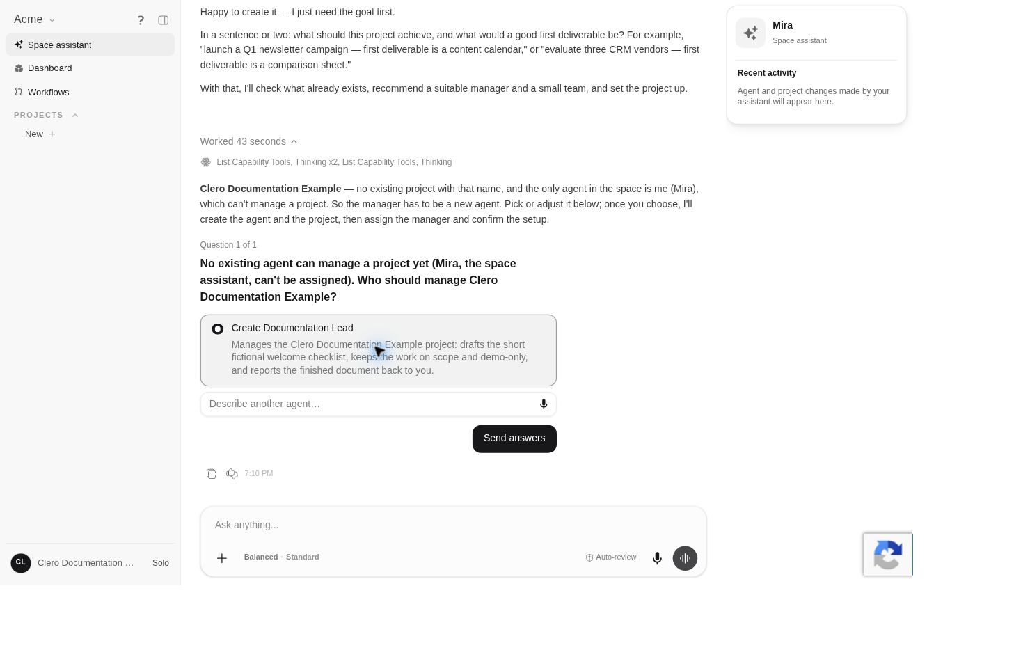 Mira proposes Documentation Lead as manager for the fictional project.